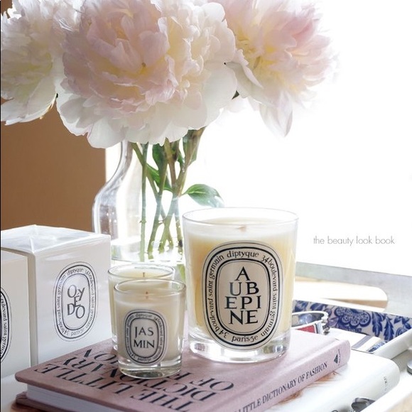 Diptyque Empty Candle Jar Baies 2.4 oz - Picture 7 of 7